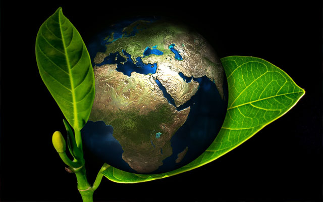 Pegada Ecológica