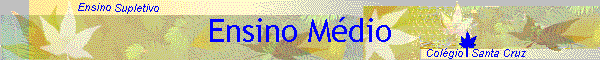 Ensino Mdio