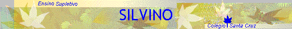 SILVINO