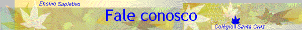 Fale conosco